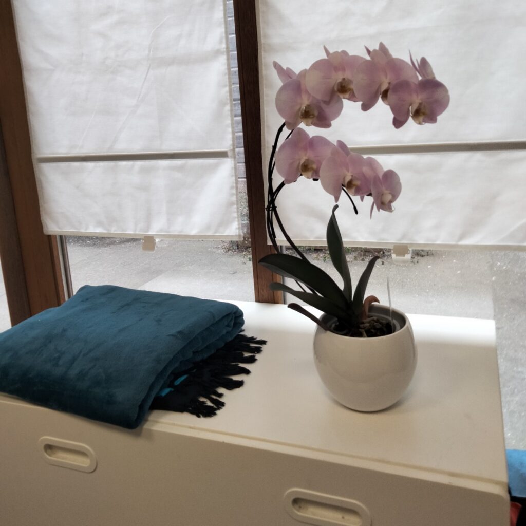 Orchidée et ambiance zen dans le cabinet de Caroline Caby à Haubourdin